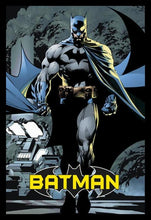 Load image into Gallery viewer, Batman - Dark Knight Poster