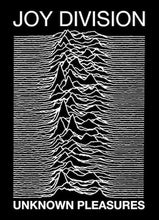 Load image into Gallery viewer, Joy Division - Unknown Pleasures Poster