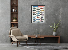 Load image into Gallery viewer, American Cars of the Fifties Poster