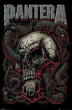 Load image into Gallery viewer, Pantera Rocker Skull