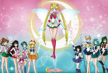 Load image into Gallery viewer, Sailor Moon - Sailor Warriors Poster - Rolled