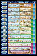 Load image into Gallery viewer, Evolution of Life Poster - Black