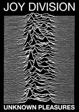 Load image into Gallery viewer, Joy Division - Unknown Pleasures