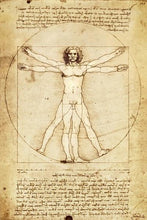 Load image into Gallery viewer, Da Vinci Vitruvian Man