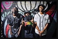 Load image into Gallery viewer, Flatbush Zombies Poster - Mall Art Store