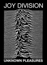 Load image into Gallery viewer, Joy Division - Unknown Pleasures Poster
