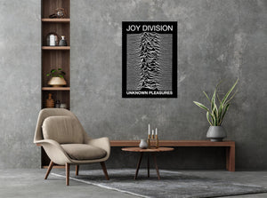 Joy Division - Unknown Pleasures Poster