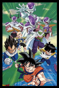 Dragon Ball Z Group Poster