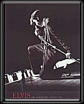 Elvis on Stage Neon Picture