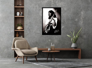 Eddie Van Halen Poster
