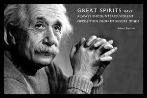 Einstein (17x11) Poster