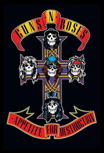 Guns N Roses Appetite For Destruction Album Cover Rock N Roll Music Poster