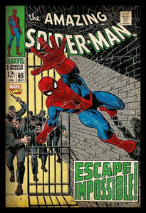 Spider-Man - Escape Impossible Poster