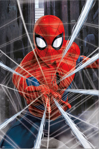 Spiderman Gotcha Poster