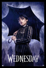 Load image into Gallery viewer, Wednesday - One Sheet Poster
