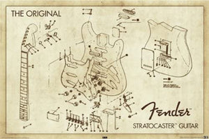 Fender Diagram Poster