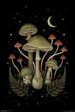 Load image into Gallery viewer, Death Cap - 
