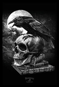 Poe Raven Skull Poster