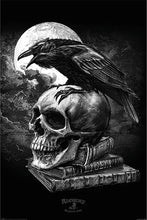 Load image into Gallery viewer, Poe Raven Skull Poster
