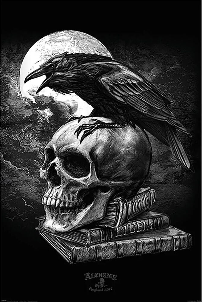 Poe Raven Skull Poster