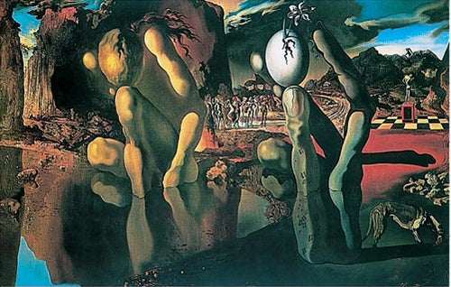 Dali Metamorphosis - Of Narcissus