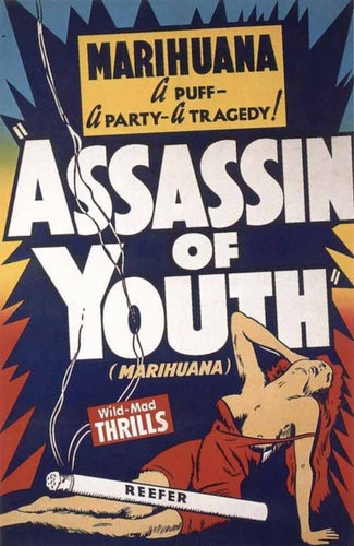 Assassin Of Youth