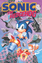 Load image into Gallery viewer, Sonic The Hedgehog
