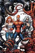 Load image into Gallery viewer, Venom vs Carnage
