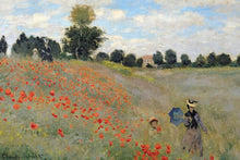 Load image into Gallery viewer, Monet In The Field
