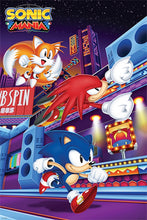 Load image into Gallery viewer, Sonic The Hedgehog
