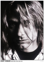 Load image into Gallery viewer, Nirvana [eu]
