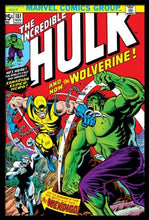Load image into Gallery viewer, Hulk vs Wolverine Poster - Mall Art Store
