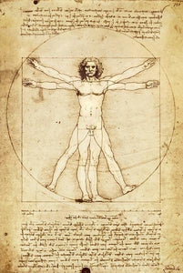 Da Vinci Vitruvian Man