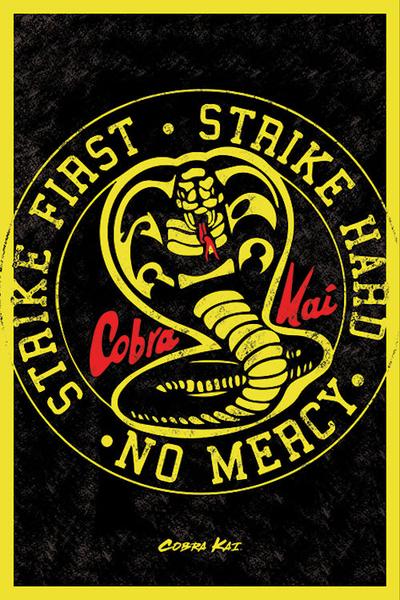 Cobra Kai- Strike First