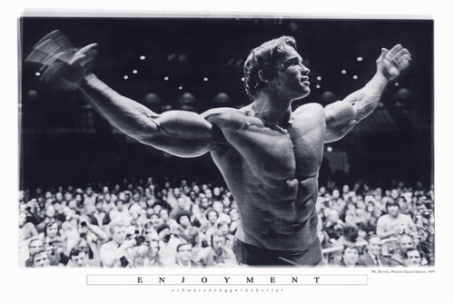 Mr Olympia - Enjoyment