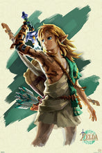 Load image into Gallery viewer, Zelda Tears of the Kingom.
