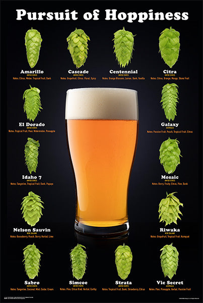 Pursuit Of Hoppiness - 