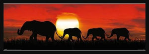 Elephant Sunset SLIM Poster - Mall Art Store