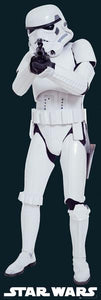 Star Wars Trooper DOOR Poster