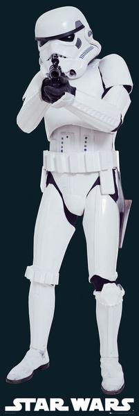 Star Wars Trooper DOOR Poster