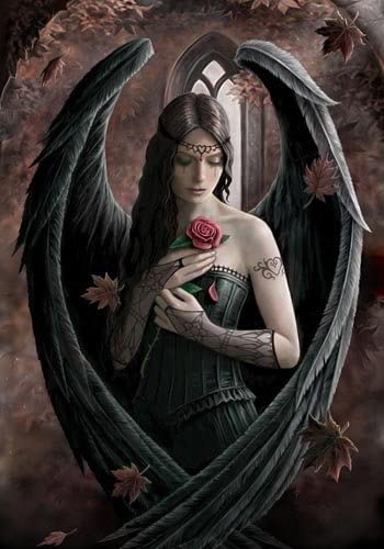 Anne Stokes Angel Rose Poster