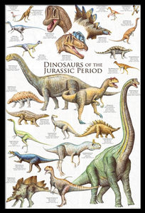 Dinosaurs Jurassic Chart Poster - Black
