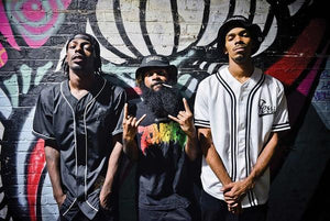 Flatbush Zombies