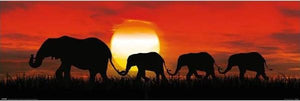 Elephant Sunset SLIM